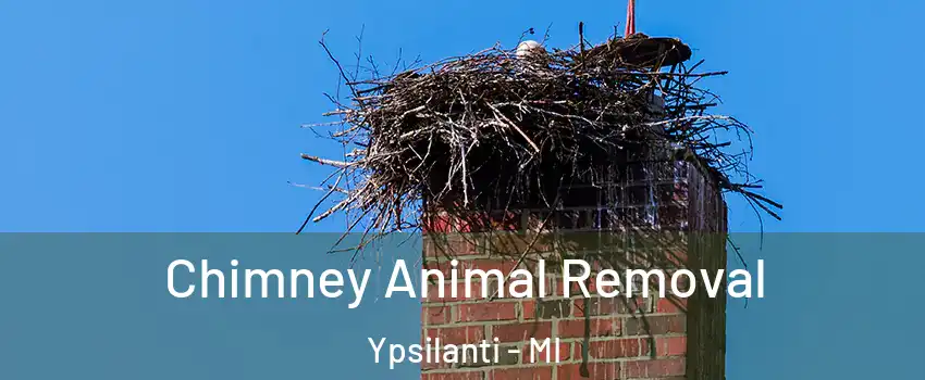  Chimney Animal Removal Ypsilanti - MI