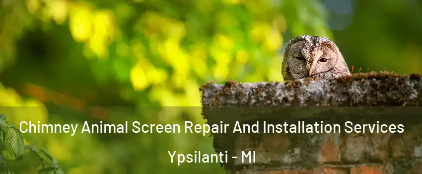  Chimney Animal Screen Repair And Installation Services Ypsilanti - MI
