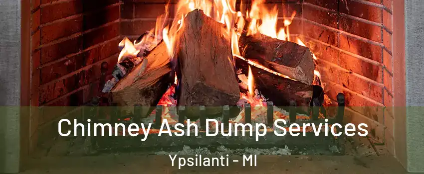 Chimney Ash Dump Services Ypsilanti - MI