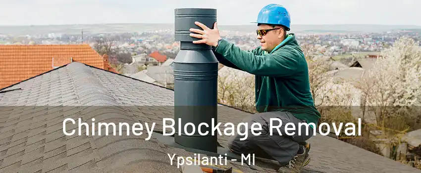  Chimney Blockage Removal Ypsilanti - MI