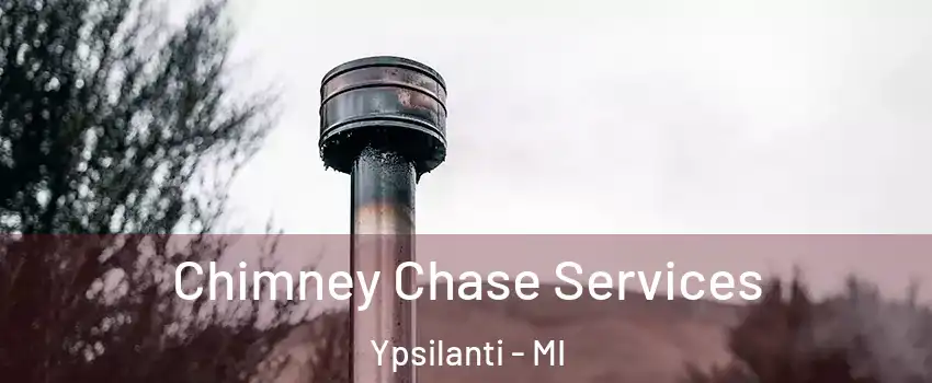  Chimney Chase Services Ypsilanti - MI