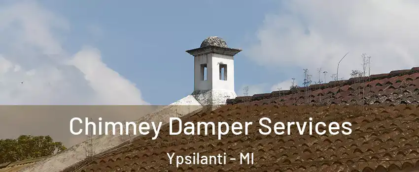  Chimney Damper Services Ypsilanti - MI