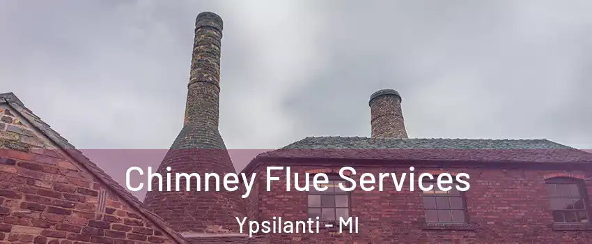  Chimney Flue Services Ypsilanti - MI