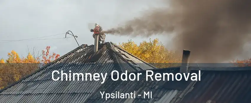  Chimney Odor Removal Ypsilanti - MI