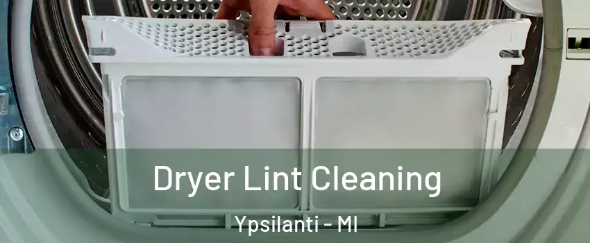  Dryer Lint Cleaning Ypsilanti - MI