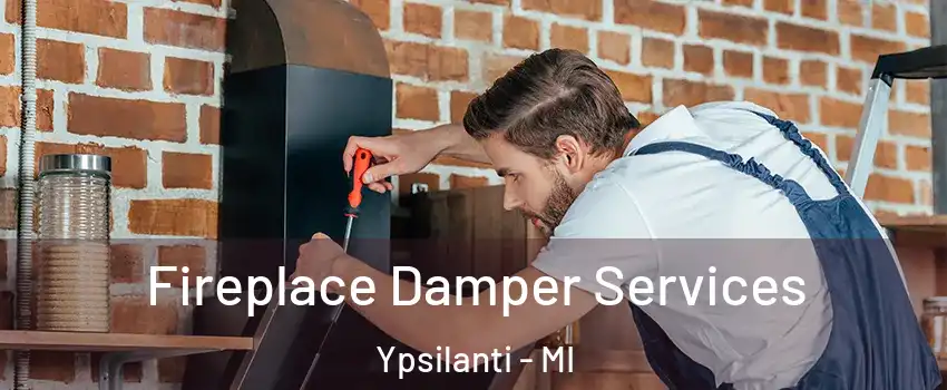  Fireplace Damper Services Ypsilanti - MI