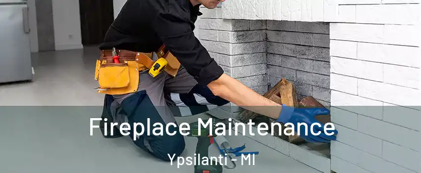  Fireplace Maintenance Ypsilanti - MI