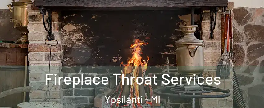 Fireplace Throat Services Ypsilanti - MI