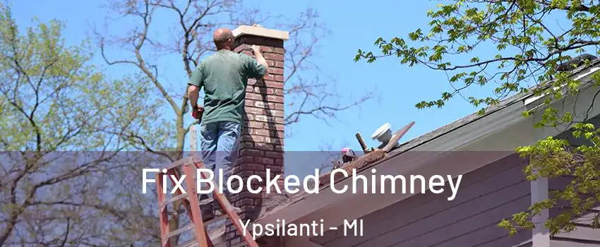  Fix Blocked Chimney Ypsilanti - MI