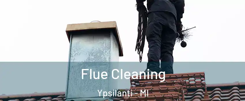  Flue Cleaning Ypsilanti - MI