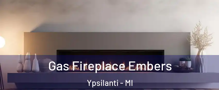  Gas Fireplace Embers Ypsilanti - MI