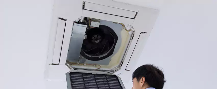 Benefits of Professional Air Duct Cleaning in Ypsilanti, Michigan