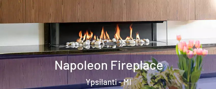  Napoleon Fireplace Ypsilanti - MI